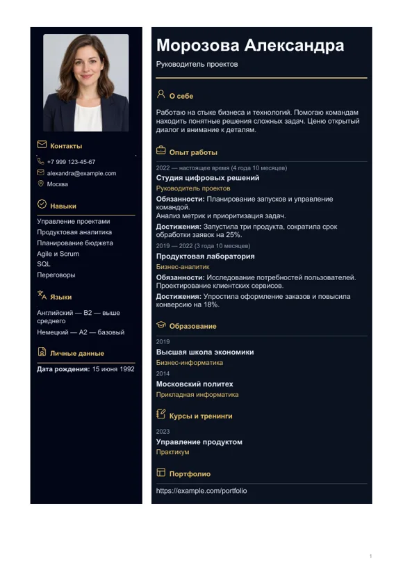 Шаблон резюме «Премиум»